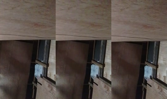 23710191's Stream - May 23, 2026, 6:11 PM