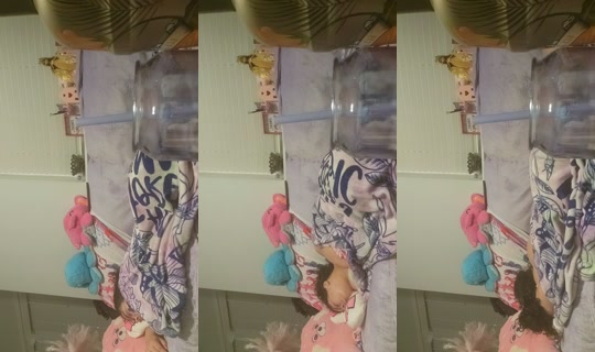 24547329's Stream - May 10, 2026, 4:18 AM