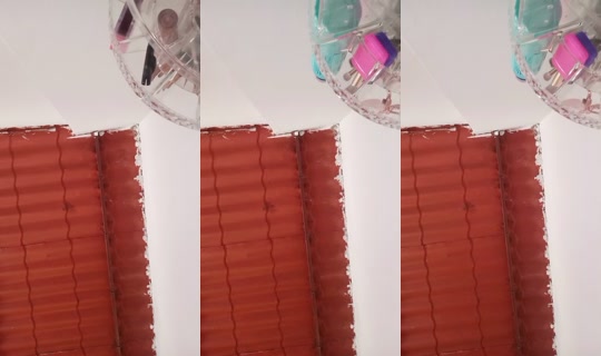 24549037 の配信 - 2026年4月20日 18:10