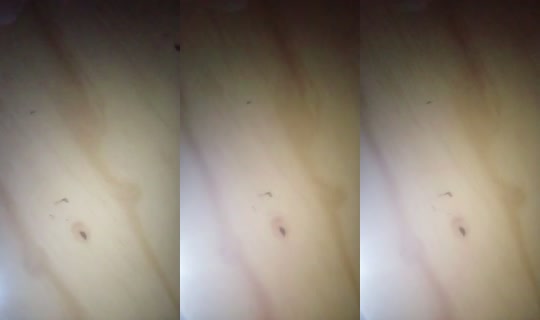 26135796 2026년 5월 5일 PM 6:46에 녹화됨