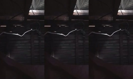 Transmisión de 31024560 - 20 abr 2026, 3:47