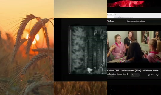 politicallyprovoked's Stream - May 10, 2026, 2:09 AM