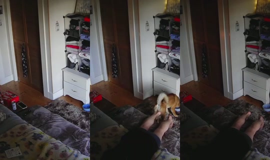 poppypnw's Stream - Apr 17, 2026, 1:53 AM