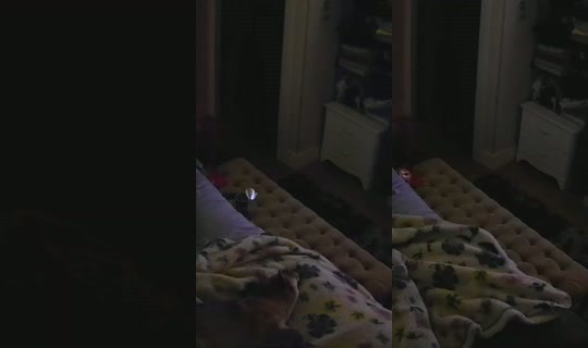 poppypnw's Stream - May 10, 2026, 5:44 AM