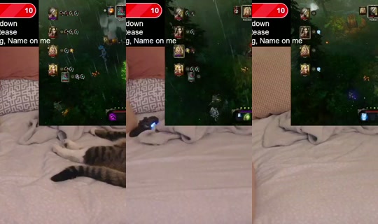 scarlotta's Stream - Jun 2, 2026, 11:45 AM
