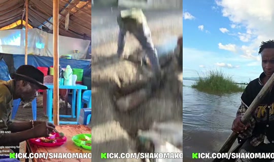 Transmisión de shakomako - 18 abr 2026, 14:17