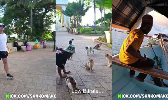 shakomako's Stream - Apr 22, 2026, 2:26 PM