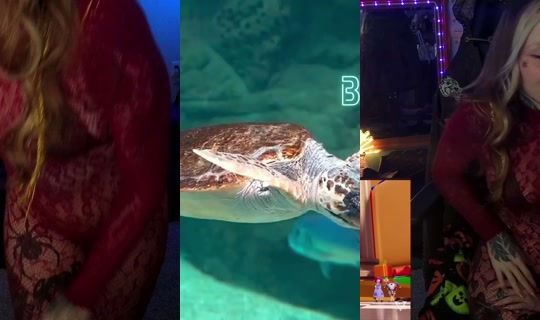 sunsetswitch's Stream - Apr 16, 2026, 5:07 AM