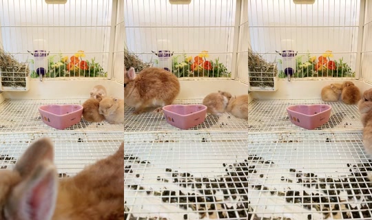 15864175 Enregistré le 8 juin 2026, 3:47