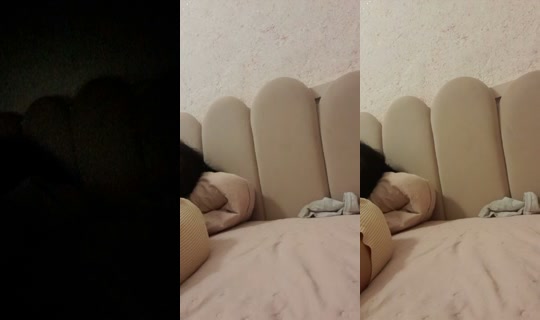 1131671060362698752's Stream - Jun 3, 2026, 10:52 PM