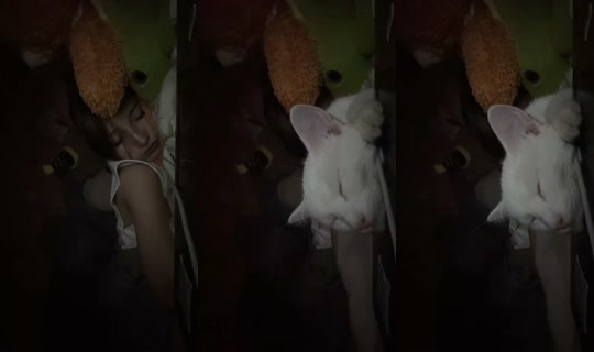 1802745666106746881 บันทึกเมื่อ 19 พ.ค. 2569 21:46