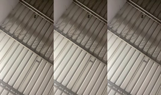 2026701183831030785's Stream - May 10, 2026, 2:26 AM