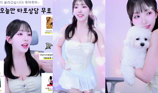 seryeongzzang's Stream - May 8, 2026, 1:13 PM