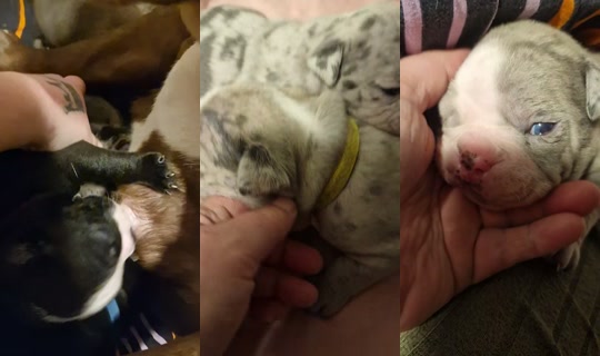 .sandgaard Recorded on Apr 17, 2026, 7:50 PM