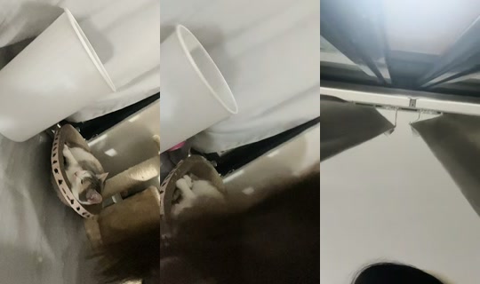 بث _pa149 - 17 أبريل 2026، 4:39 م