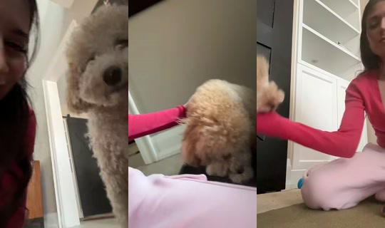 acidbarbie444's Stream - Apr 13, 2026, 8:53 PM