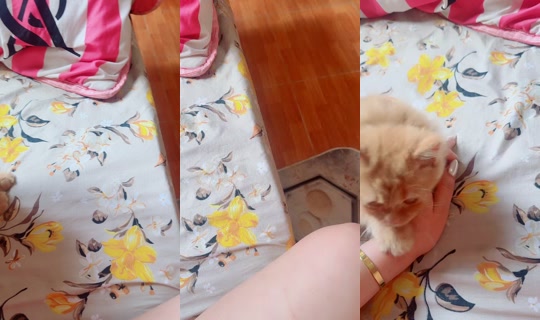 almasalmas280's Stream - Apr 21, 2026, 3:23 PM