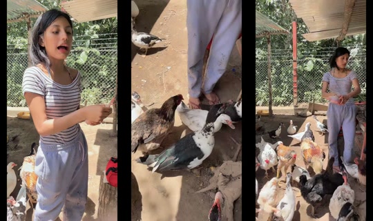 arianaagurto37's Stream - Apr 21, 2026, 4:56 PM