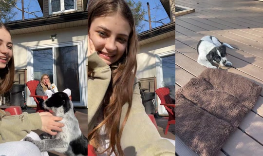 Live de avaawillson - 21 de abr. de 2026, 21:25