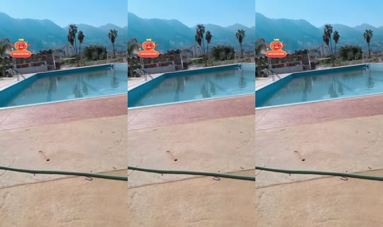 carolinaabs32의 방송 - 2026년 4월 22일 AM 6:23