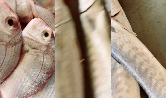 بث coumba.gn24 - 14 أبريل 2026، 12:12 م