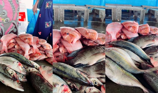 coumba.gn24의 방송 - 2026년 4월 19일 PM 1:19