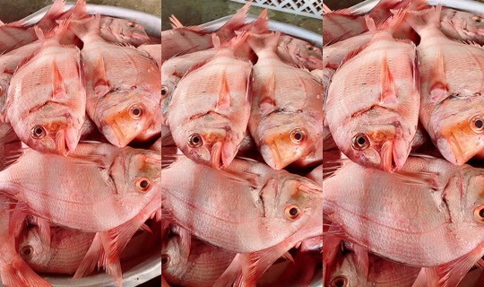 coumba.gn24의 방송 - 2026년 4월 19일 PM 4:39