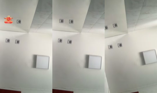 daphcarvalho's Stream - Apr 19, 2026, 12:04 PM