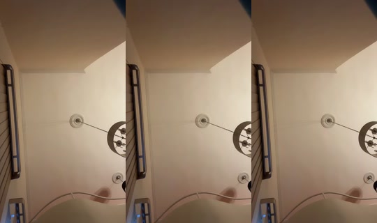 daphcarvalho の配信 - 2026年4月21日 23:26