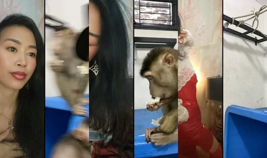 Transmisión de doro.dance8 - 21 abr 2026, 10:25