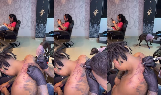 elbrayan8323's Stream - Apr 14, 2026, 4:59 AM