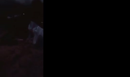 Transmisión de emoxita030kixi0 - 22 abr 2026, 23:29