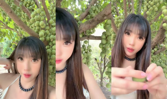 giauhuynh6886 の配信 - 2026年4月19日 5:29