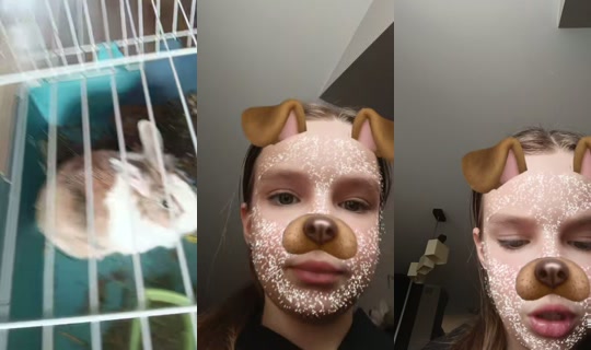 بث happy.star276 - 14 أبريل 2026، 11:58 ص