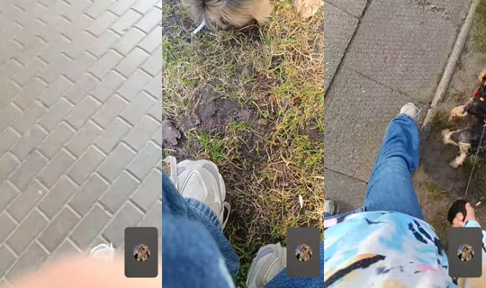 بث happy.star276 - 16 أبريل 2026، 3:19 م