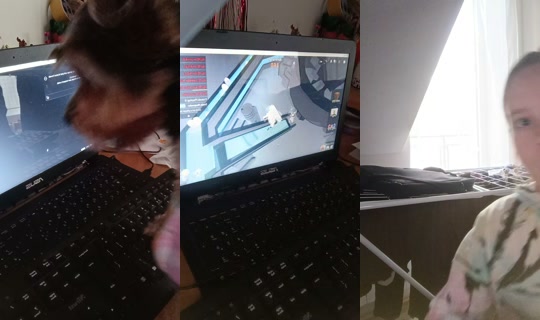 بث happy.star276 - 16 أبريل 2026، 4:24 م