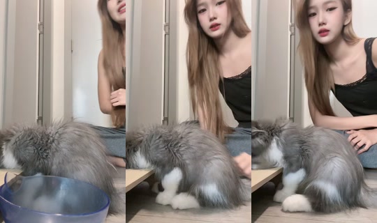 huachaicatherine's Stream - Apr 16, 2026, 9:12 AM