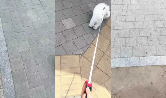 kelly__vy의 방송 - 2026년 4월 23일 AM 3:20