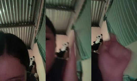 kiarita2181 の配信 - 2026年4月15日 3:38