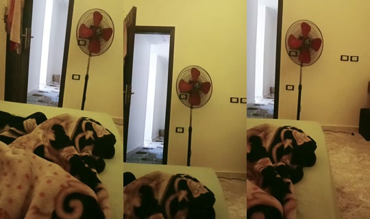 loma2901's Stream - Apr 17, 2026, 6:42 AM