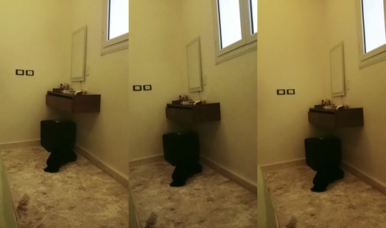 loma2901's Stream - Apr 17, 2026, 12:03 PM