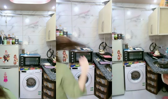 mayush.basha's Stream - Apr 16, 2026, 7:07 PM