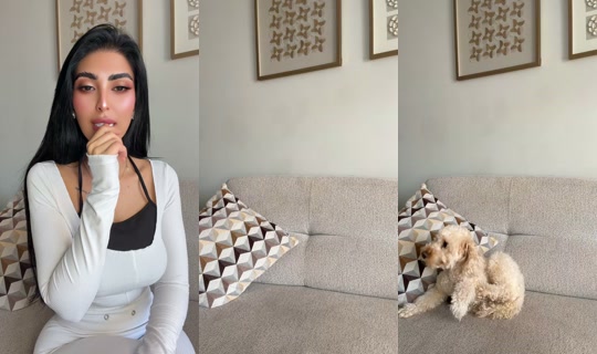 Live de official.ansam - 21 de abr. de 2026, 9:26