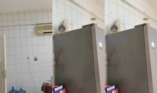 بث onoutha21 - 22 أبريل 2026، 4:59 ص