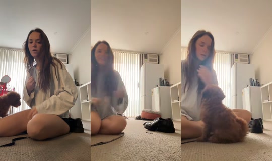 Transmisión de palomachat - 20 abr 2026, 23:33