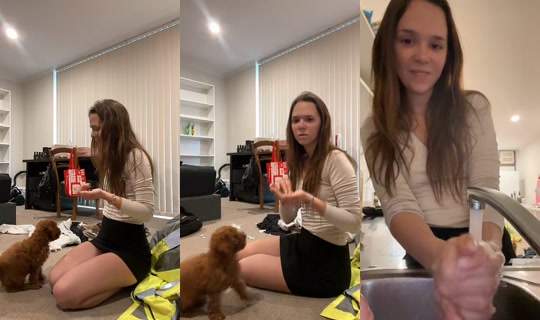 Transmisión de palomachat - 21 abr 2026, 3:34