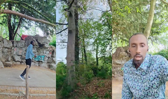 professor.jonki Recorded on Apr 17, 2026, 2:57 PM