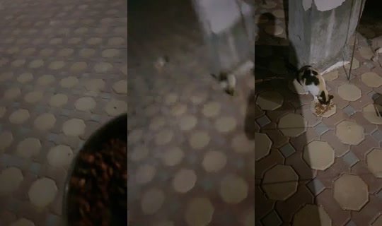 reemmuhammad870's Stream - Apr 17, 2026, 9:03 PM