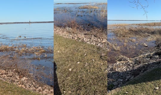 sara.jghab's Stream - Apr 17, 2026, 8:28 PM