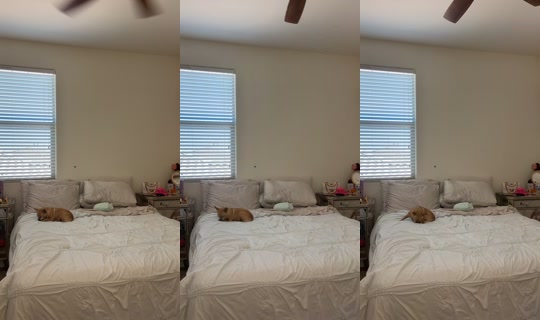 speedtease's Stream - Apr 18, 2026, 7:02 PM